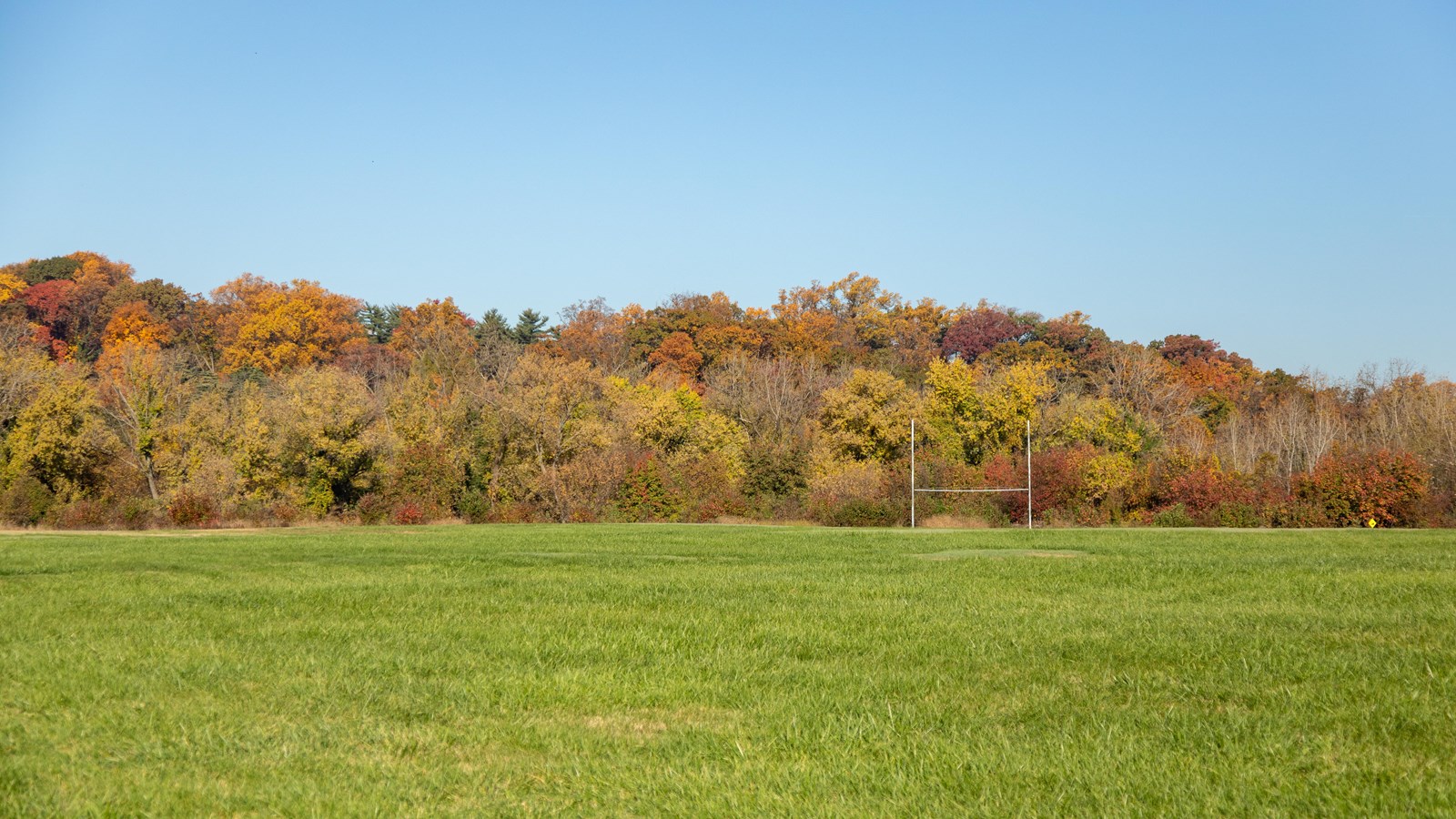 A large open, grass field.