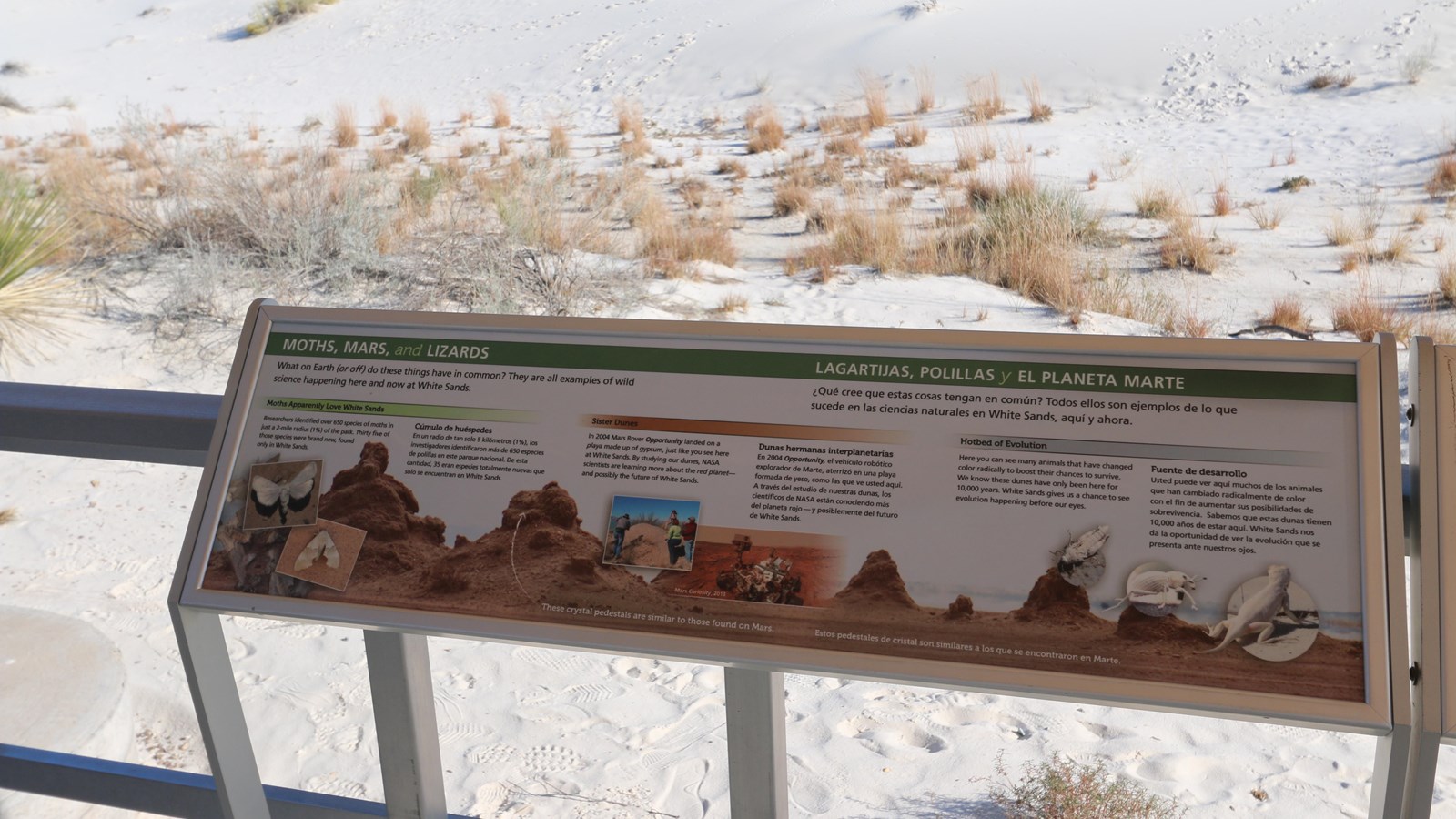 Interpretive sign explaining the unique research being done at the park.