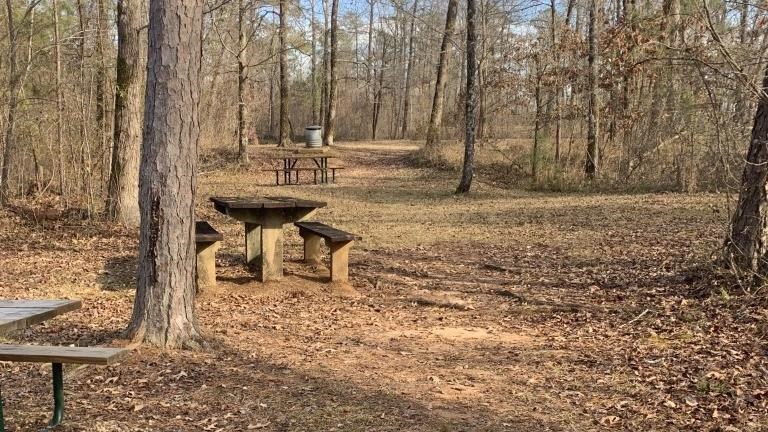 Trail and Picnic Area at Witch Dance