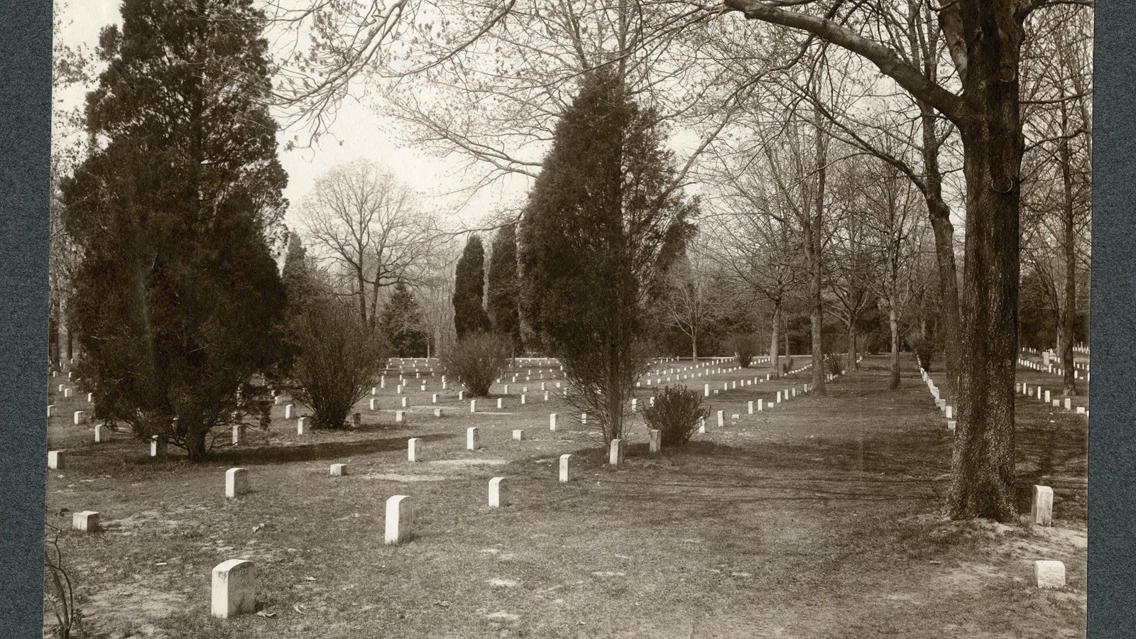 Black and white of lines of white headstones with some trees around. 