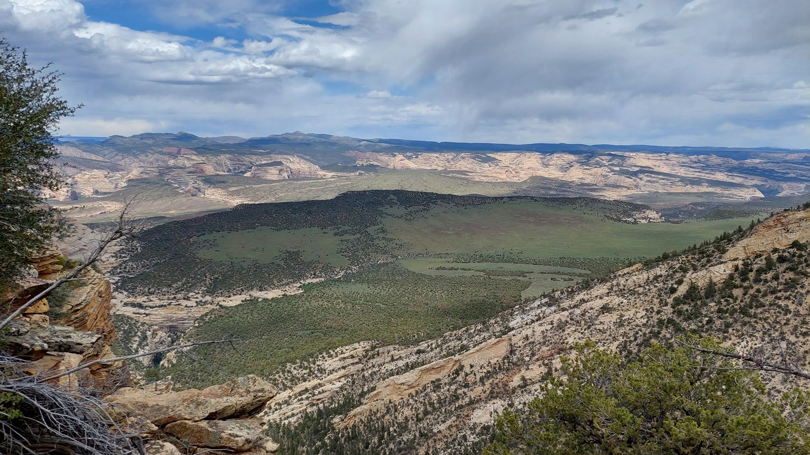 A rugged cliff side overlook with a guardrail fence viewing a vast canyon.