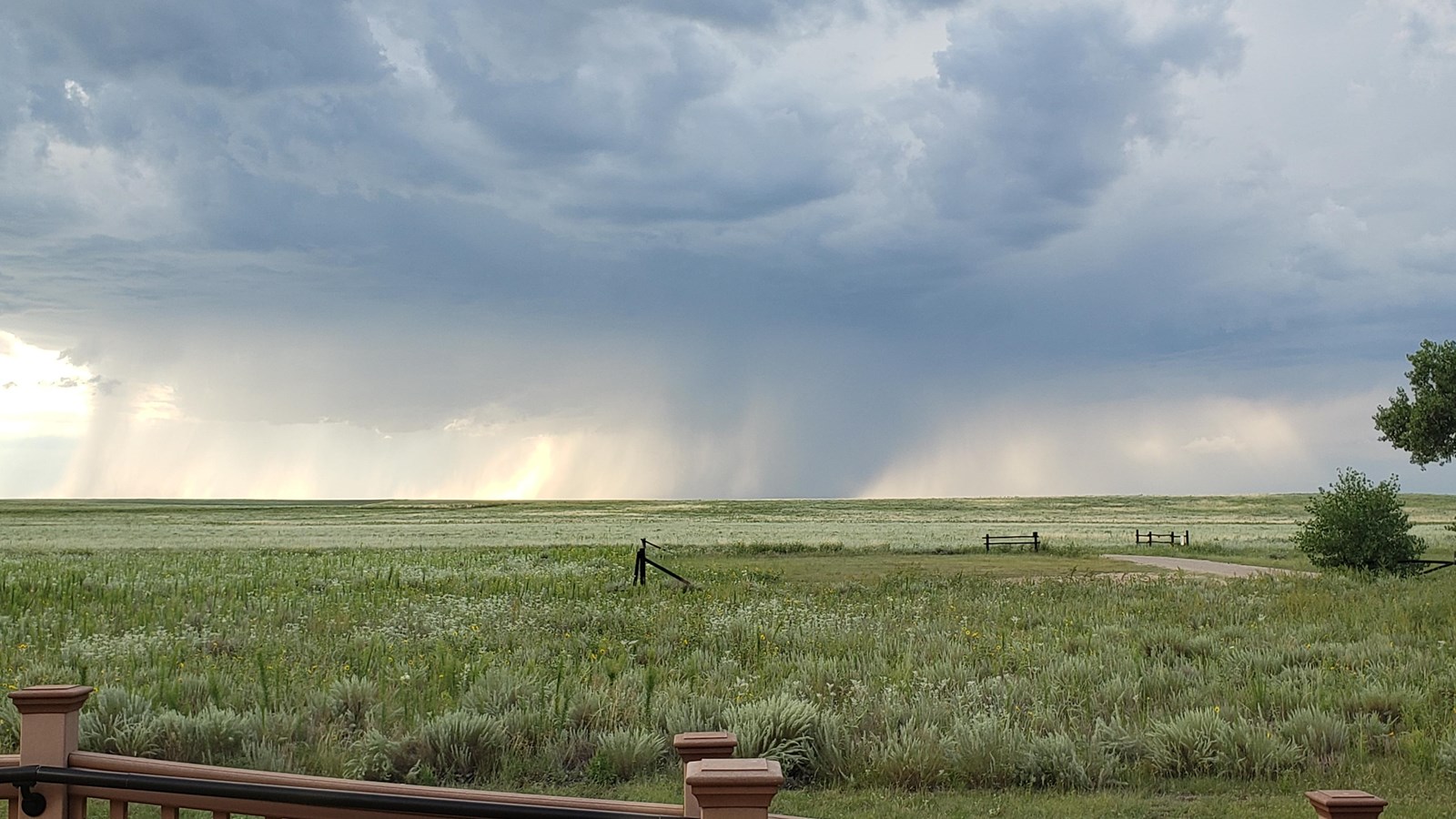 Rain in the distance moves across a grassy landscape.
