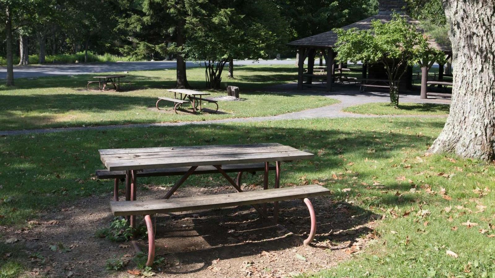 A picnic table in an open grassy area with more picnic tables in the background.