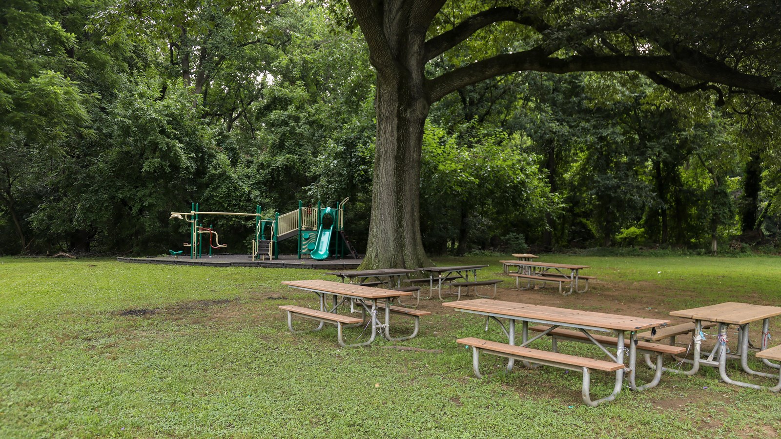 Picnic benches in a grassy field. 