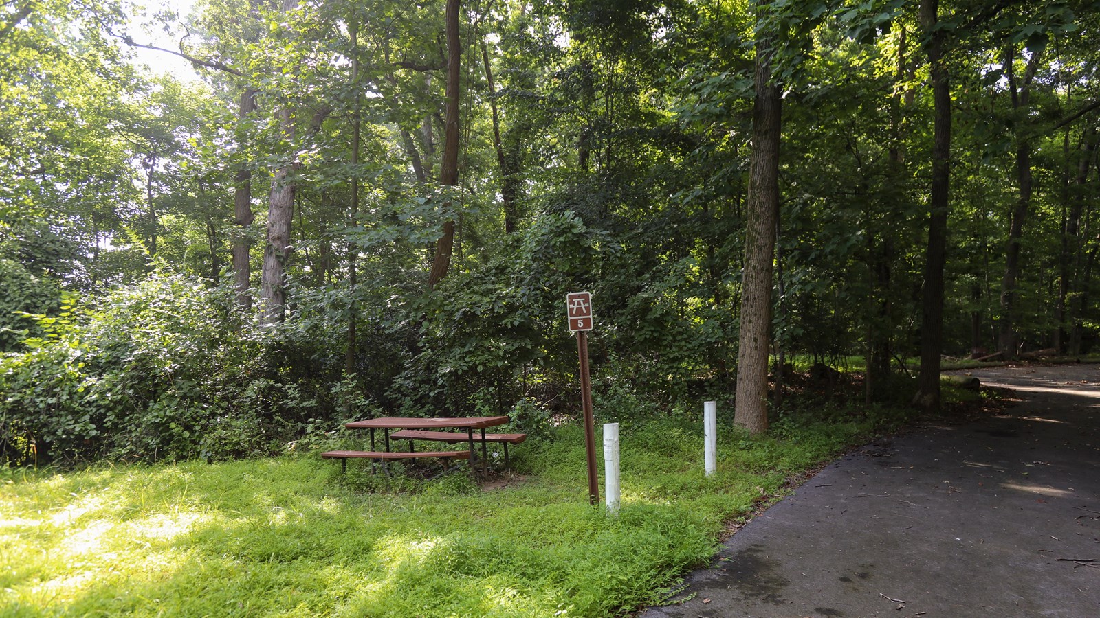 A picnic area in a wooded grassy field.