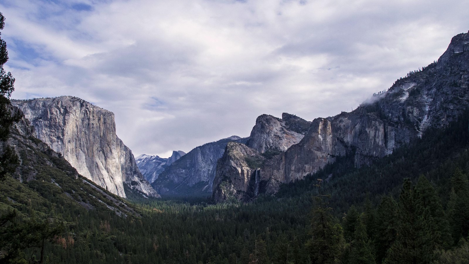 Large granite monoliths in the distance with a dense conifer forest below