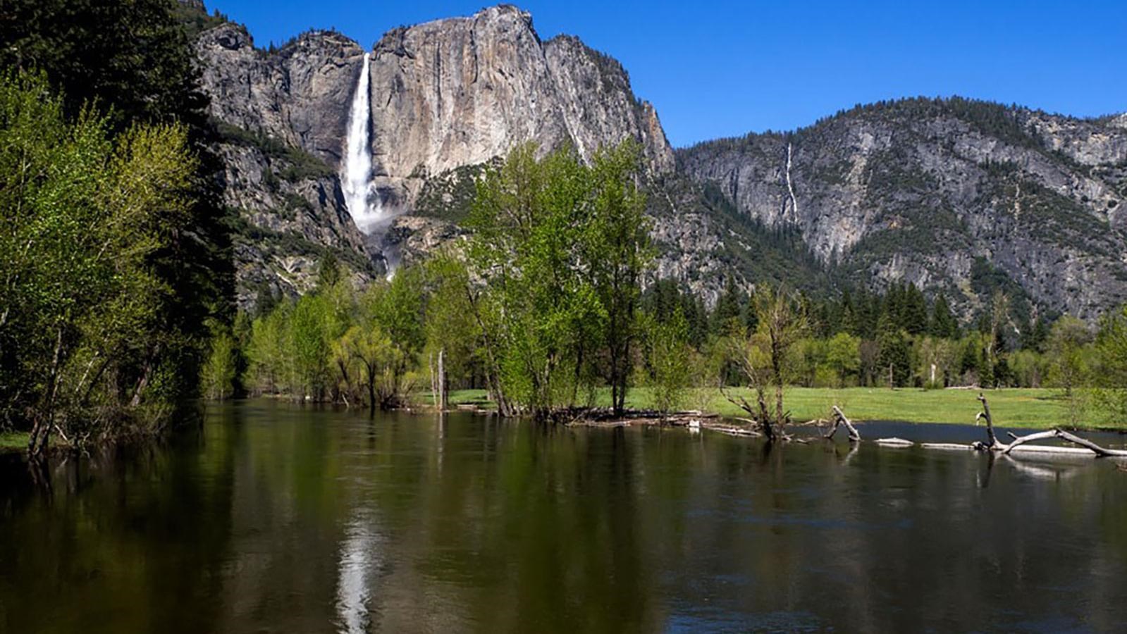 Yosemite Falls reflects in the Merced Wild and Scenic River.