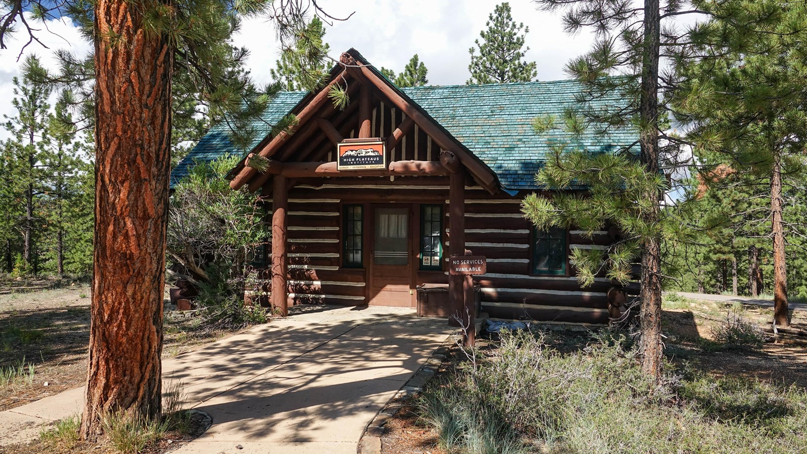 A rustic cabin with green roof and brown wood siding beside a large tree.