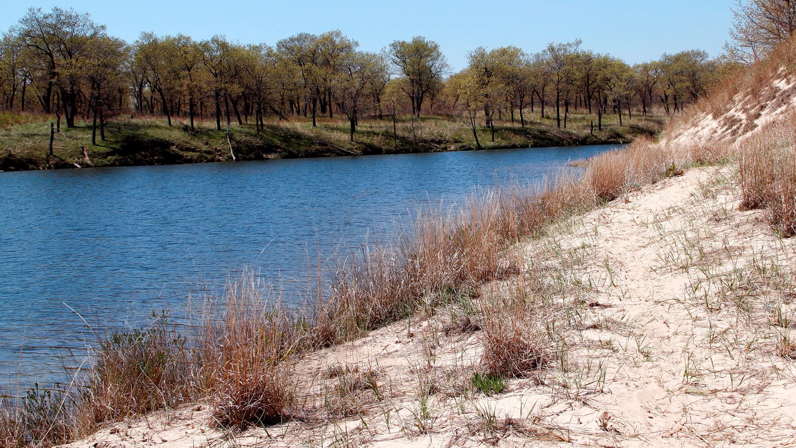 Sand dunes rise above the wetland ponds in the oak savannas of Miller Woods