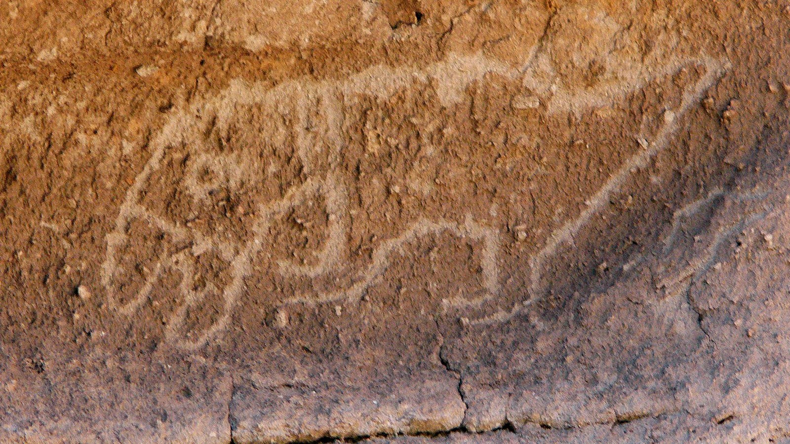a carved image of a parrot on rock