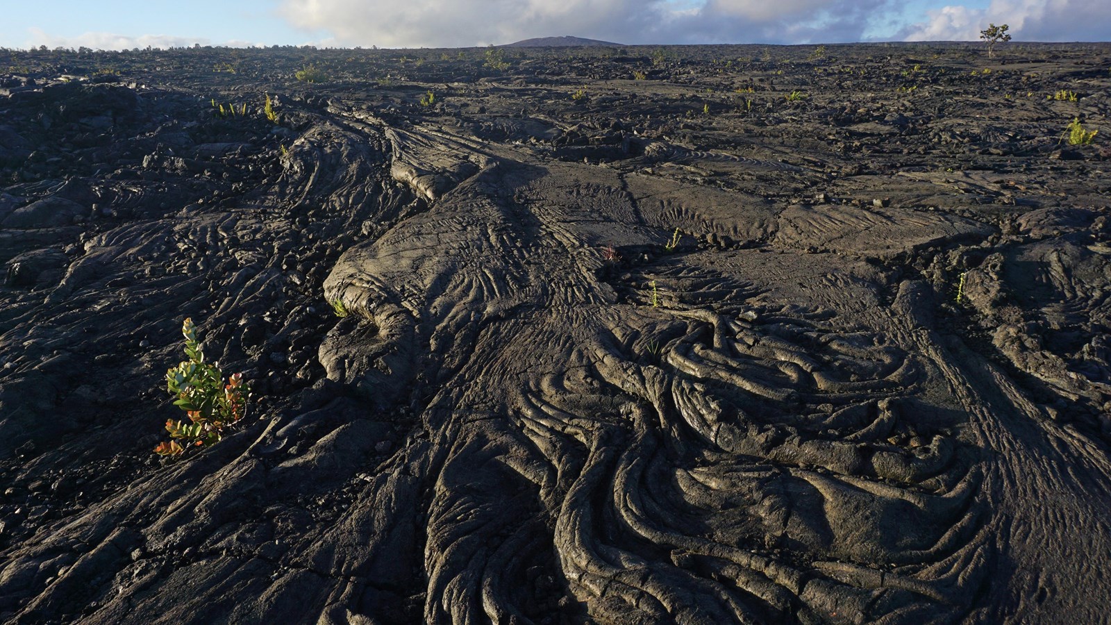 A lava field with a distant lava shield at sunset