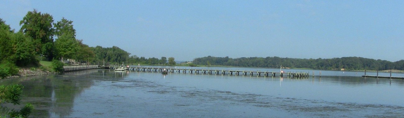 view of a wooden boat ramp, shoreline and water