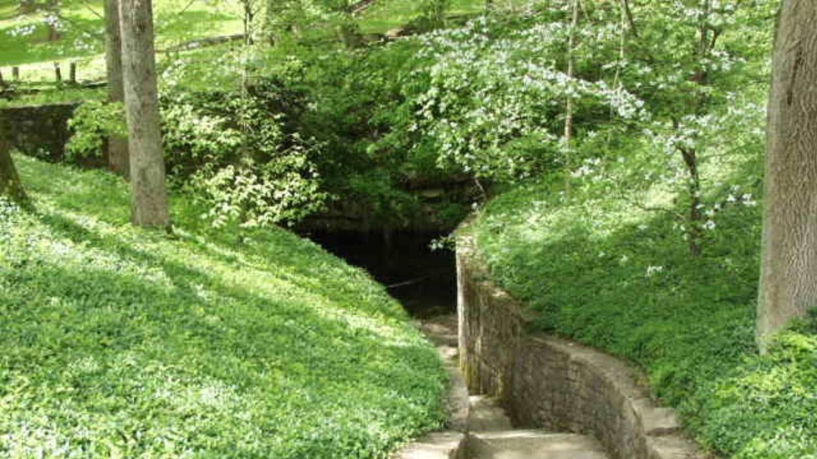 pathway leading down to an opening surrounded by grass.