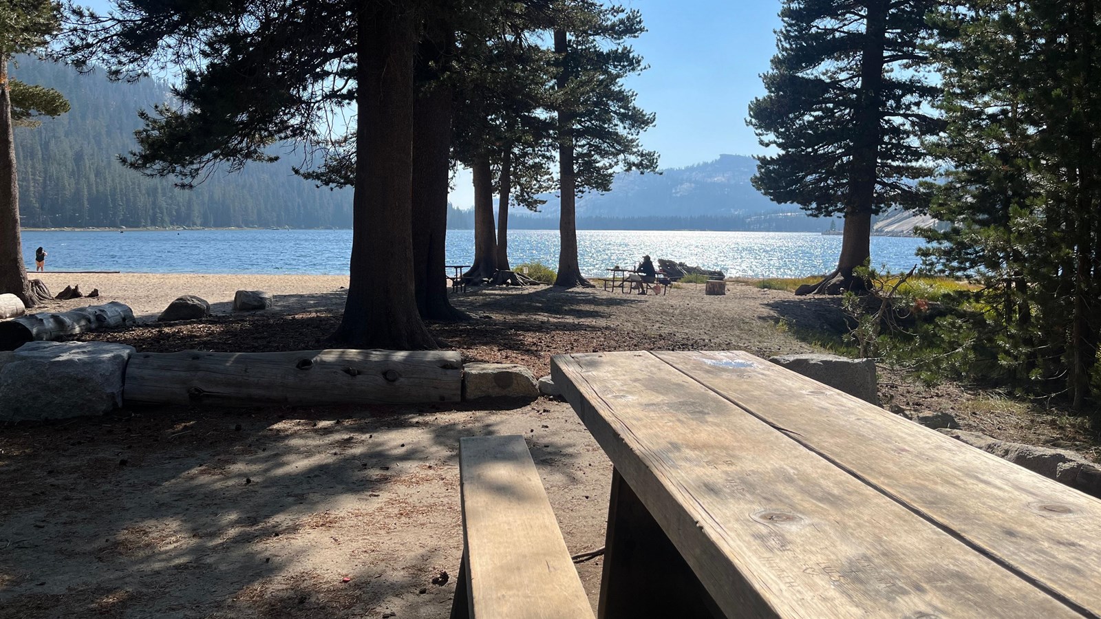 A wood picnic table, tall trees, and a large lake visible in the distance