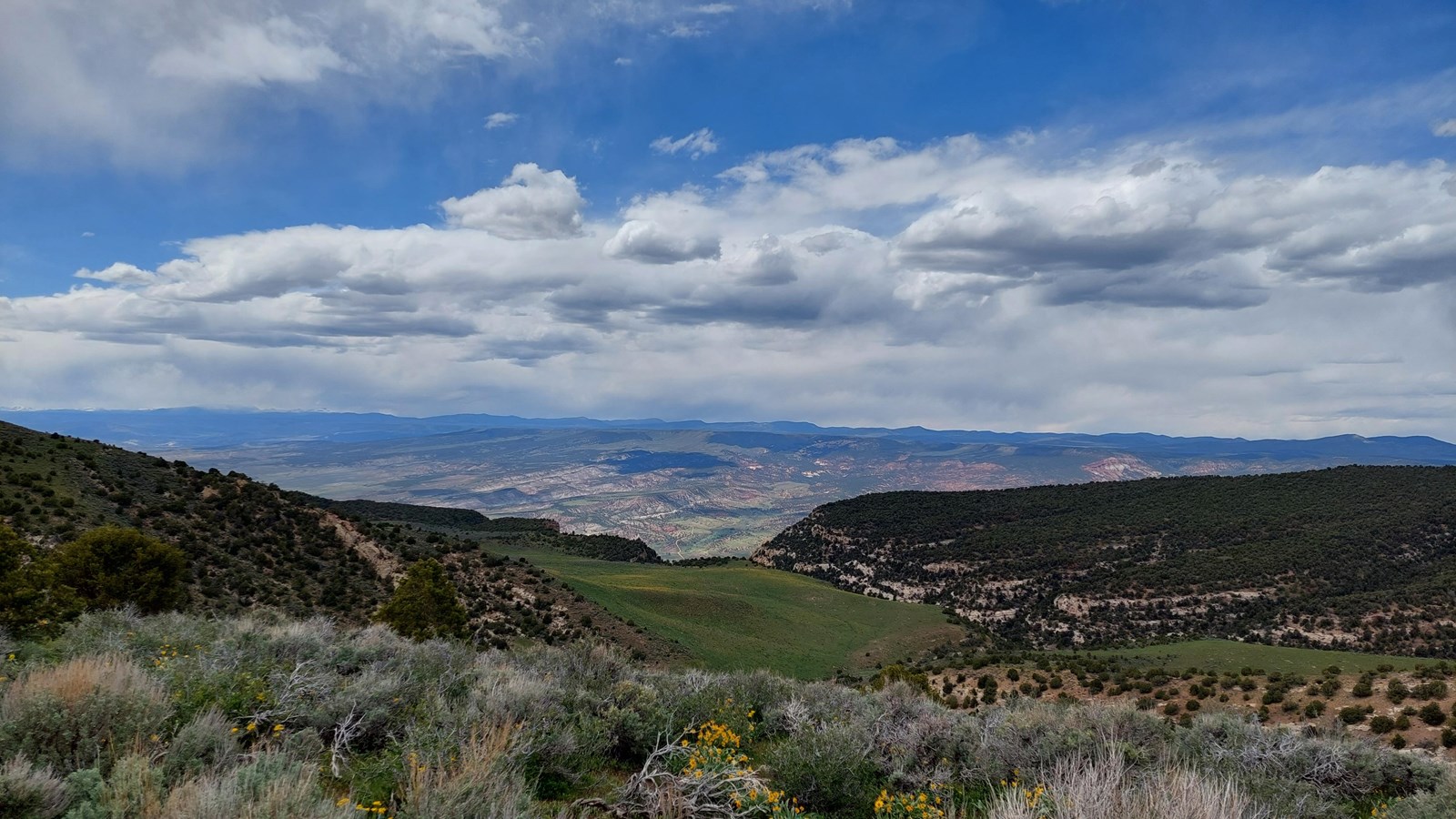 A vast overlook viewing pine covered cliffs of a canyon.