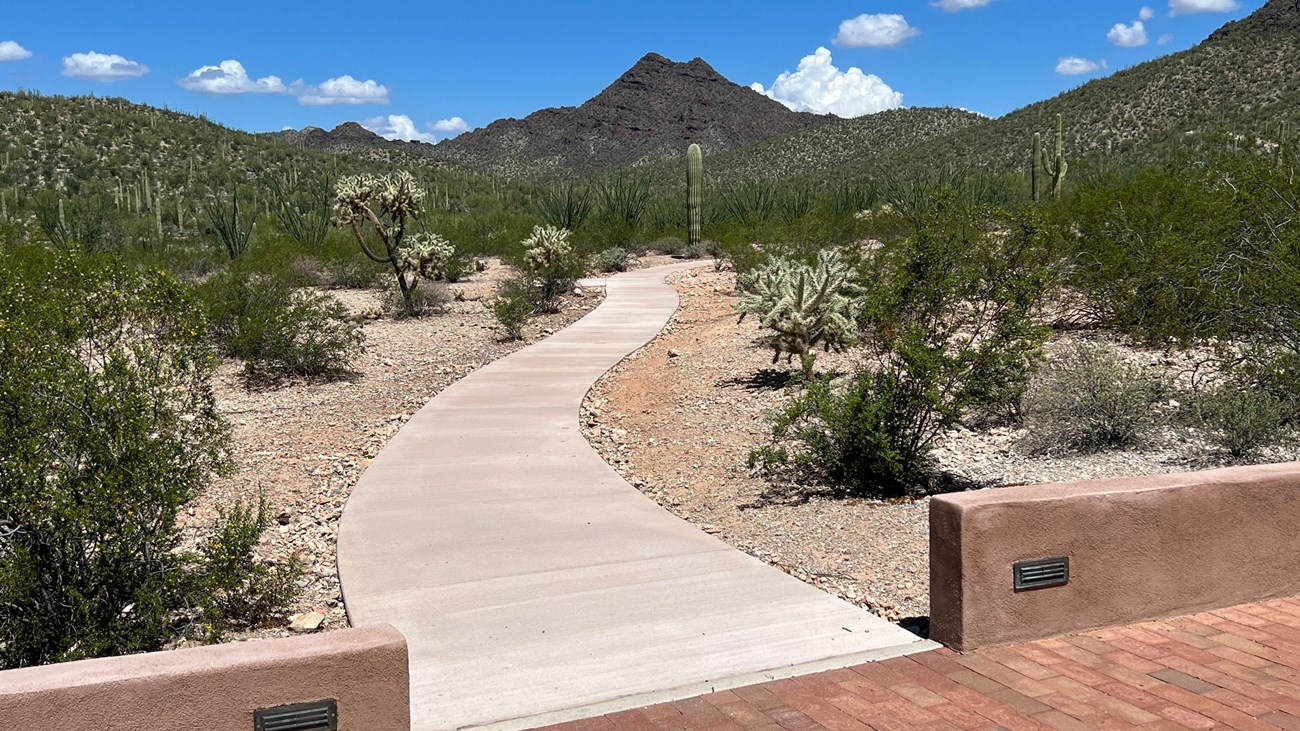 A flat, paved trail meanders through the desert toward a rocky mountain with two sharp peaks.