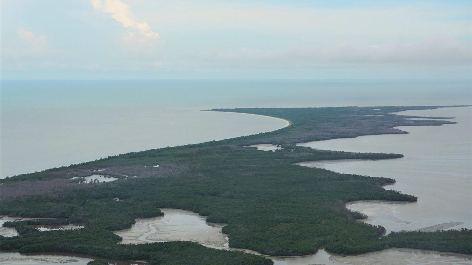 Aerial view of the green vegetation and surrounding blue waters of Cape Sable
