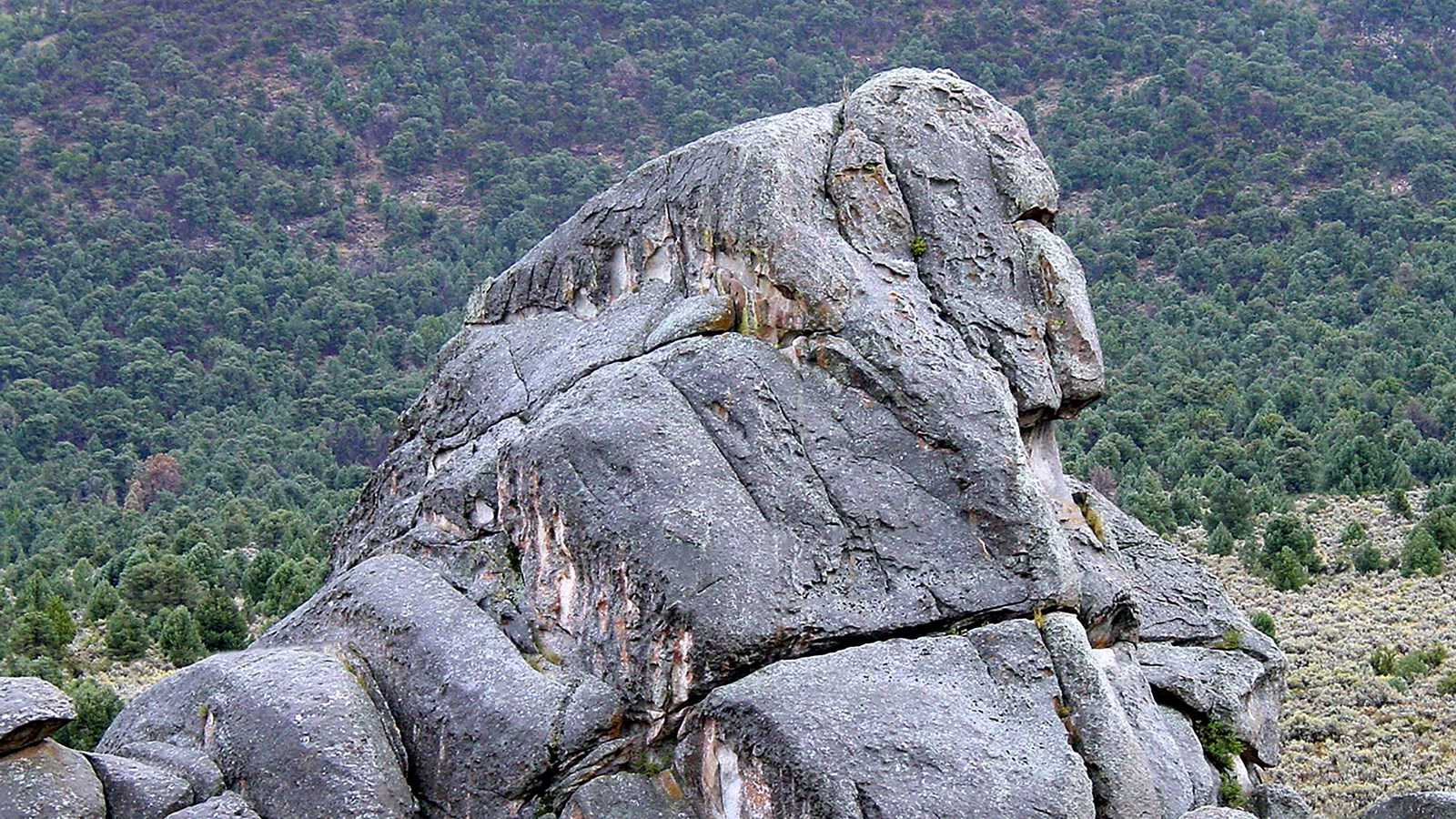 Large granite formation that resembles a gorilla.