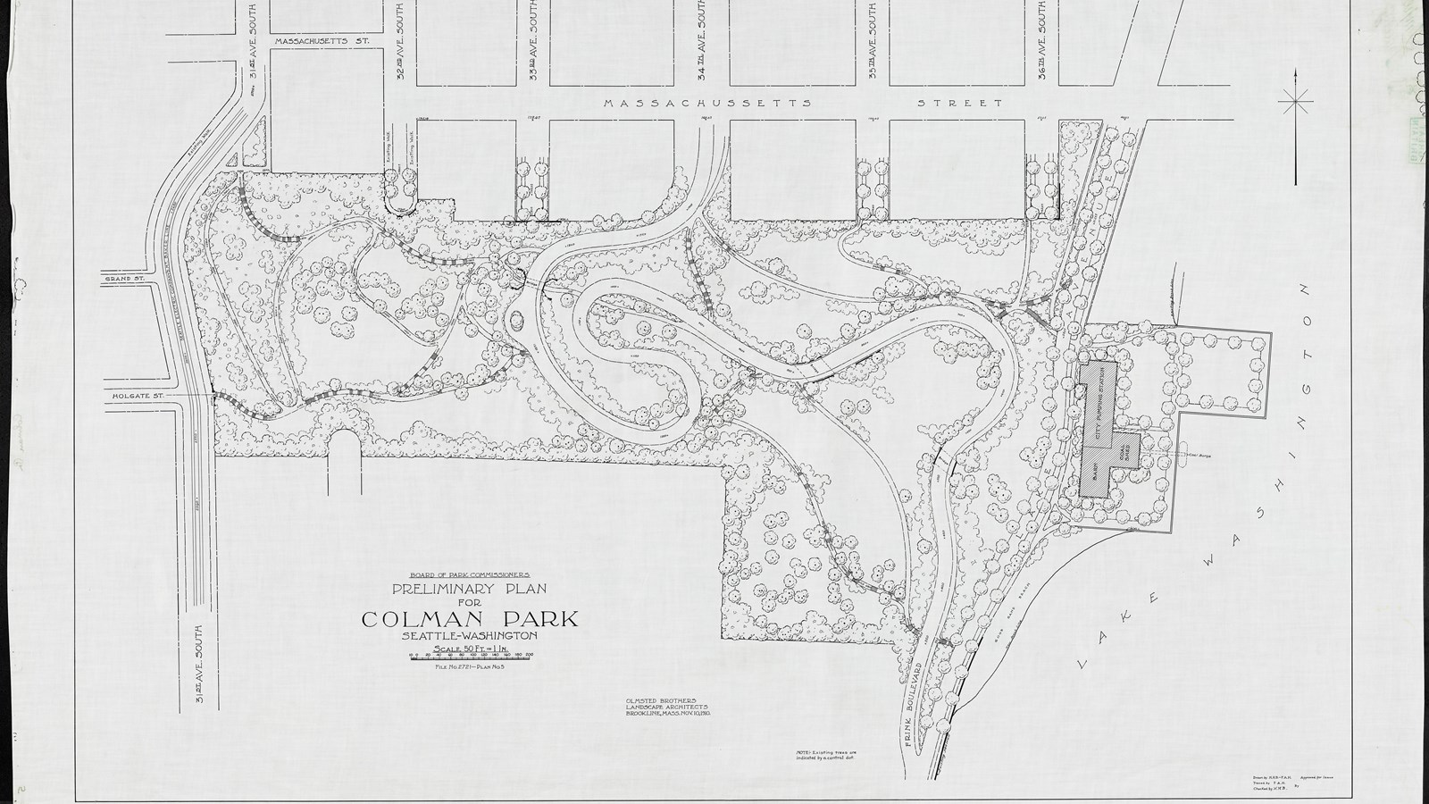 Pencil drawing of plan with curving paths lots of trees and some open space.