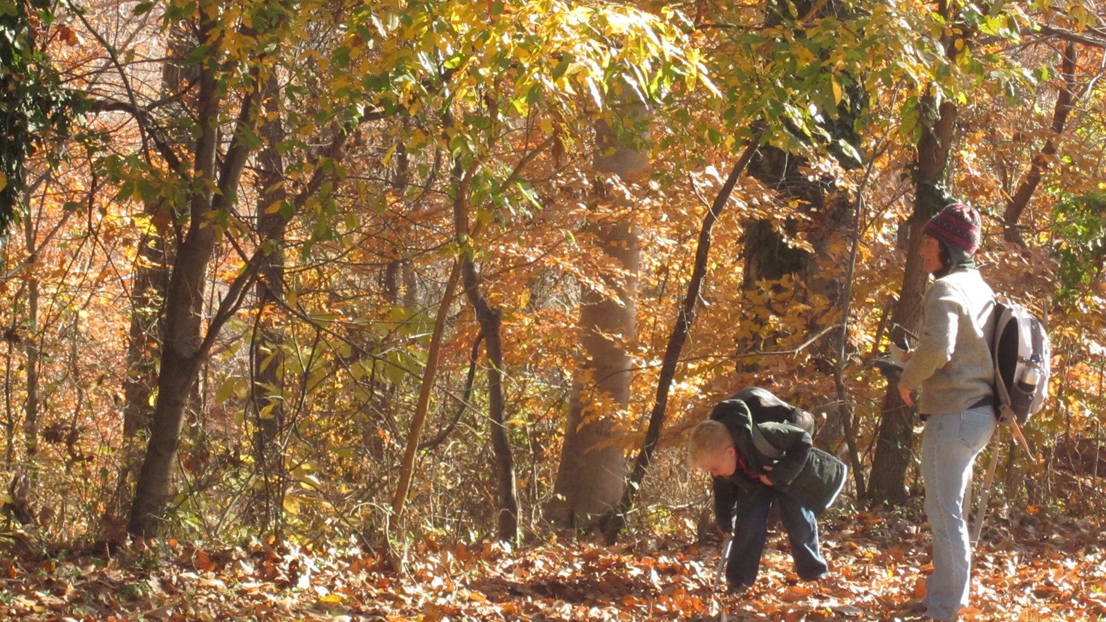A woman and young boy in a fall colored forest