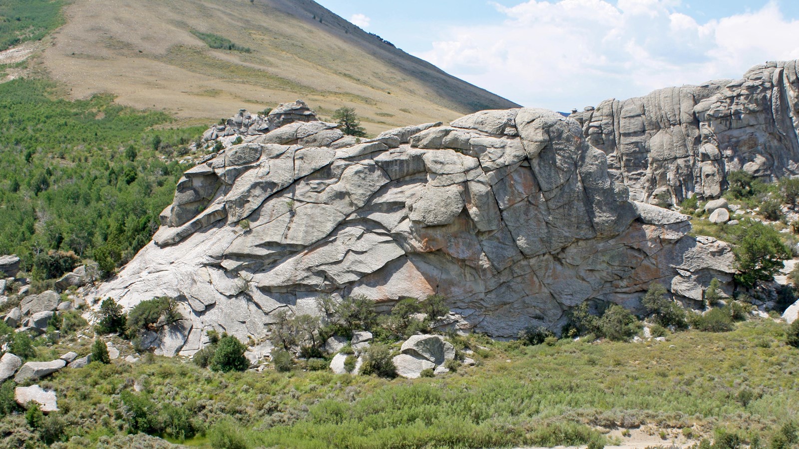 Large granite formation surrounded by green brush and trees.