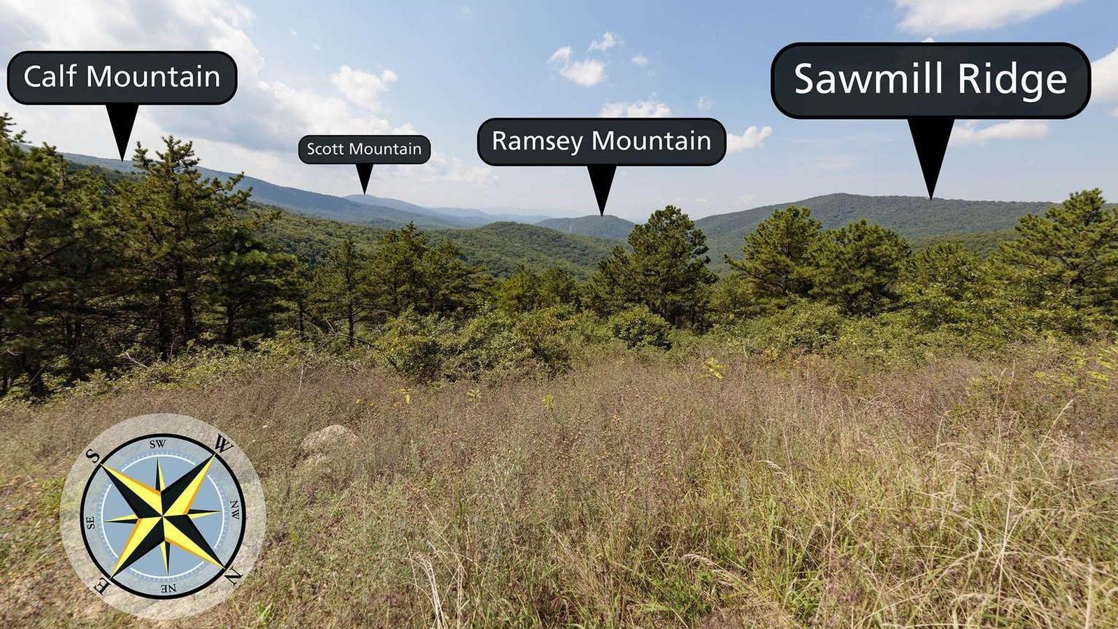 View across field with line of trees and mountains in the distance.