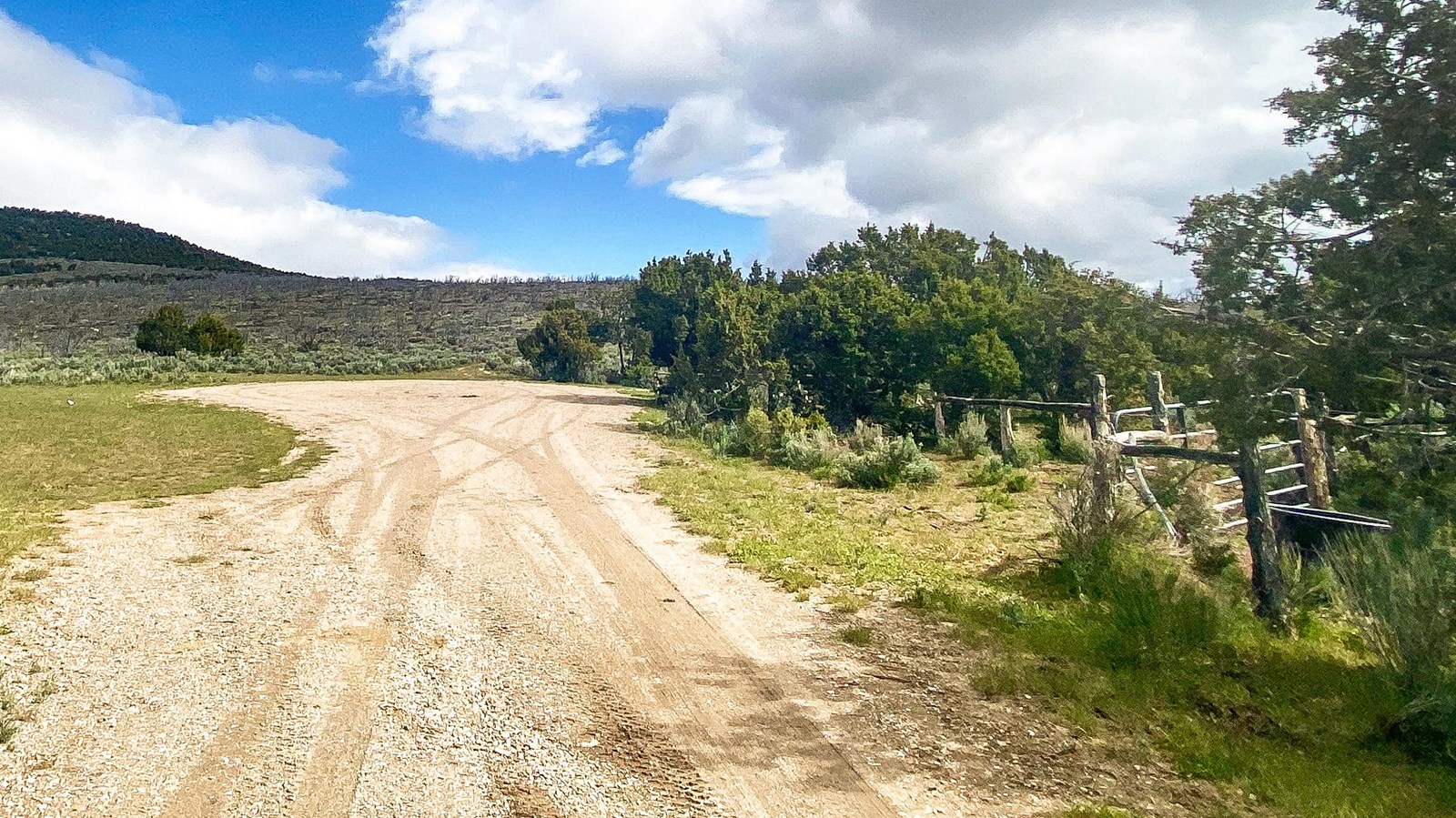 Large gravel driveway, juniper trees, fluffy white clouds in a blue sky.