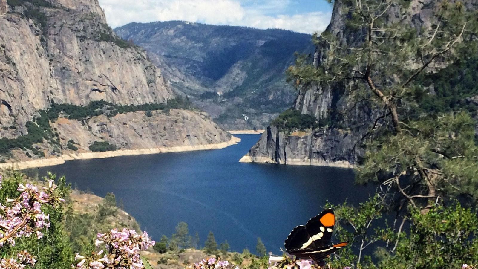 Reservoir with granite features on all sides, flowers and a butterfly in foreground