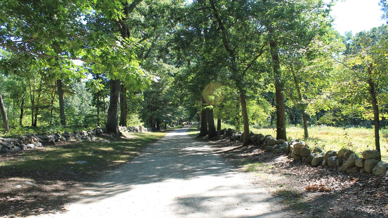 A wide dirt trail flanked on either side by a low stone wall. Trees shade the stone walls and trail
