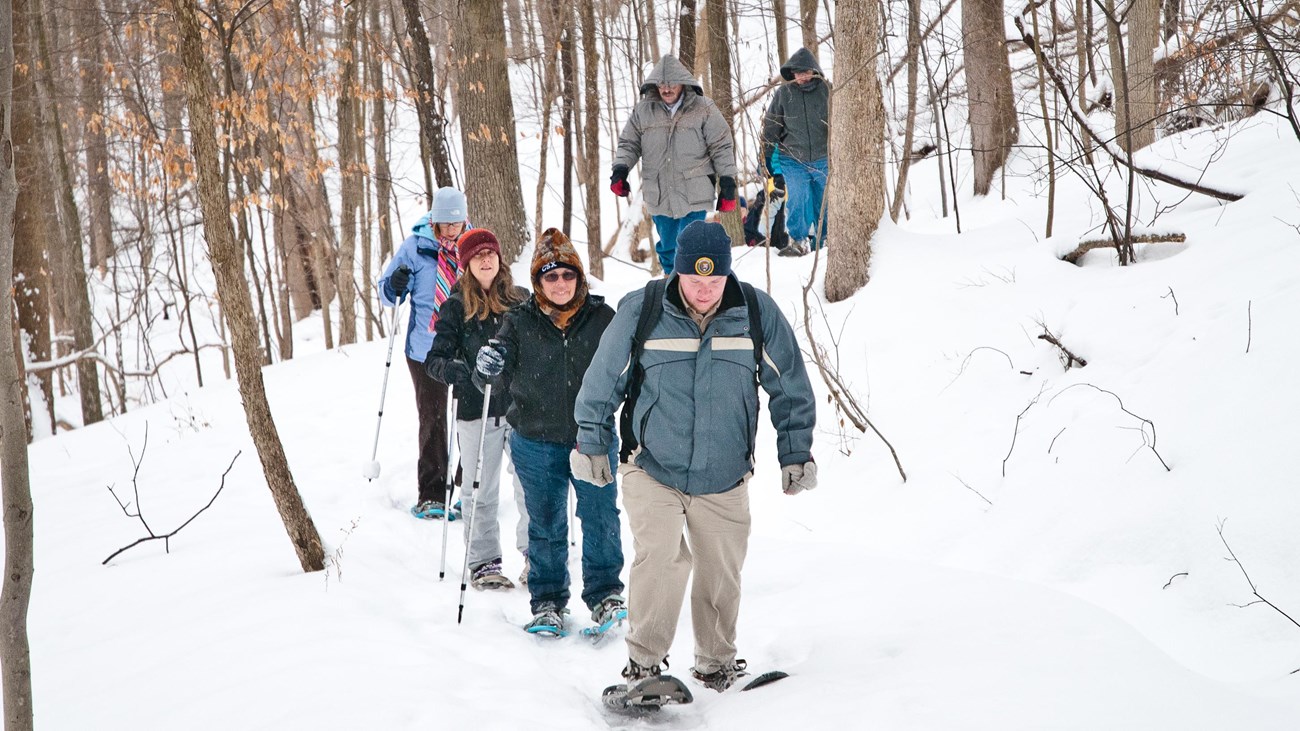 A group of people in winter hats snowshoes along a snow-covered trail in the forest.