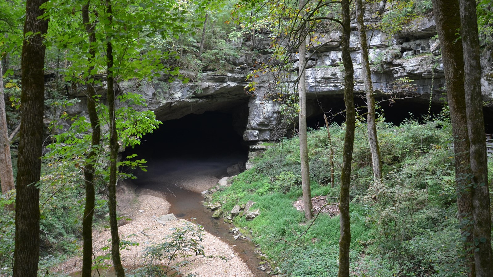 A small creek flows in the left opening of a cave, while the right is covered by foliage