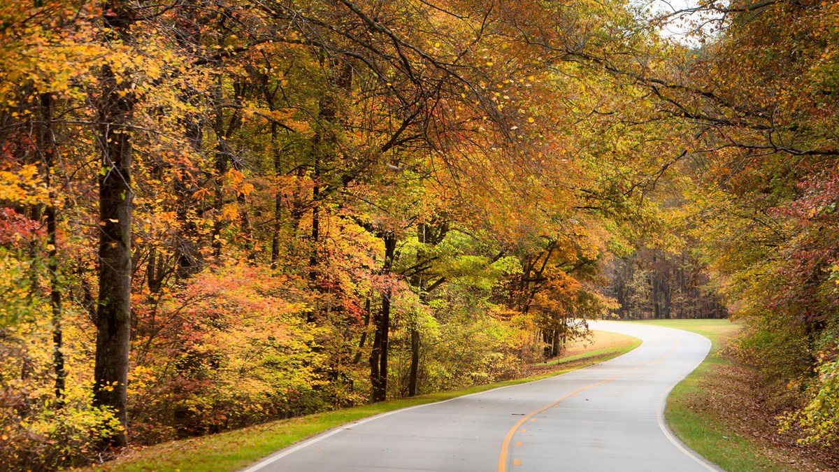 Leaf Peeping Along the Natchez Trace (U.S. National Park Service)