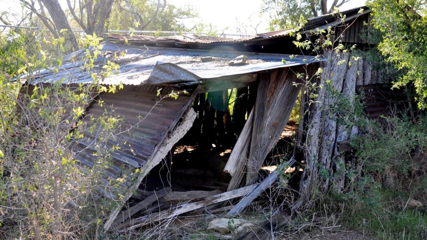 Ruins of a wooden and tin structure with overgrowth surrounding it.