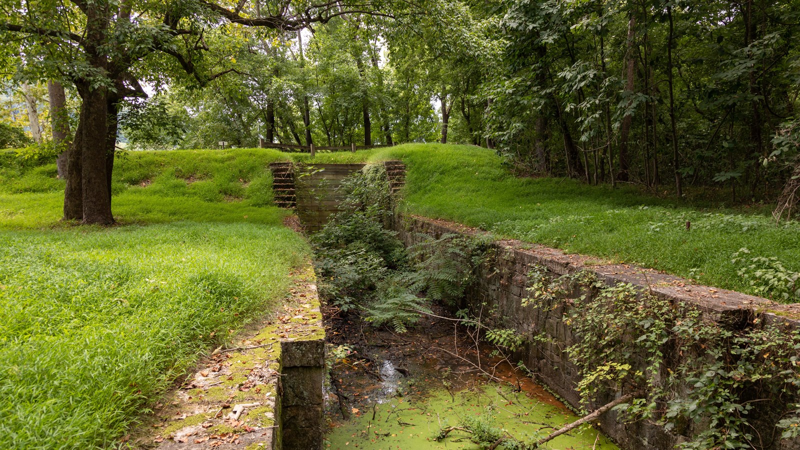 An old stone lock surrounded by green foliage