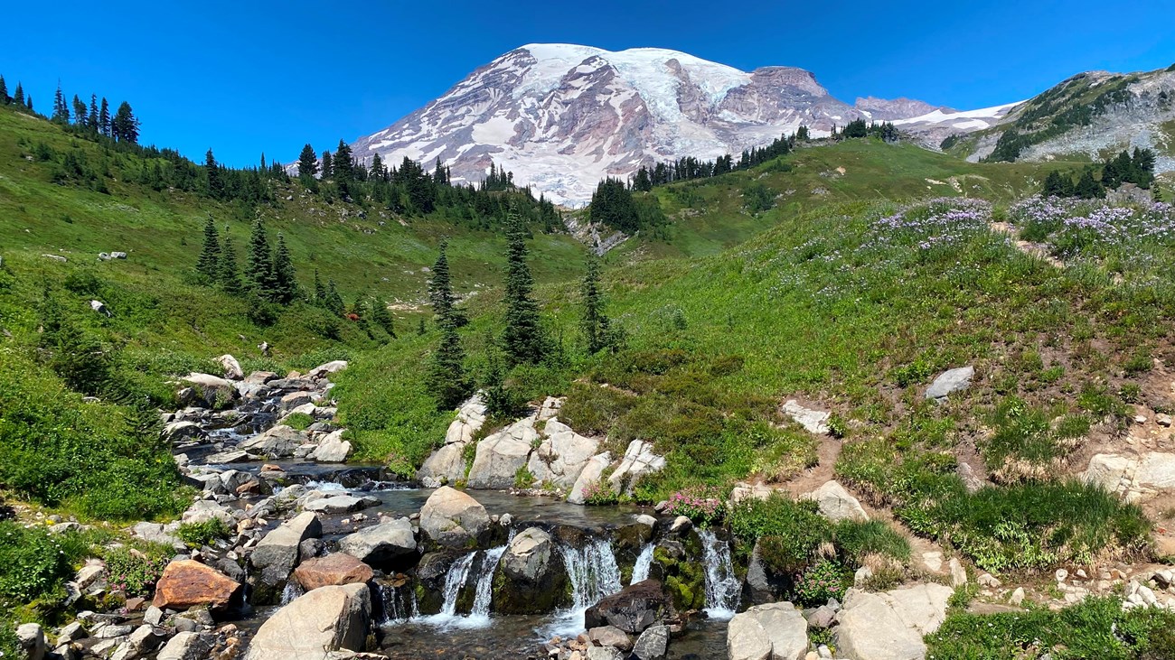 A creek tumbles through a lush green landscape, with a glacier-covered volcano in the background.
