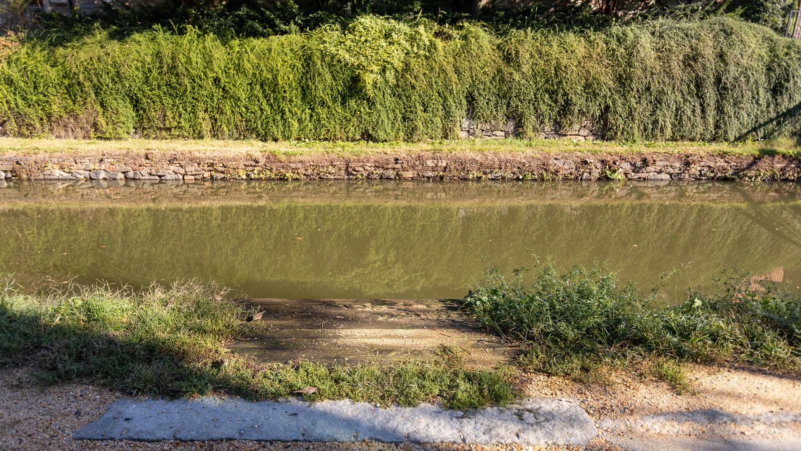 A river with an inlet