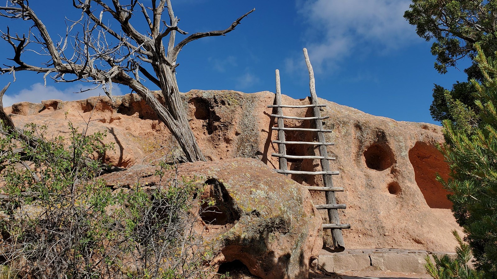 A wooden ladder leans against a orangey cliff with green trees around and a blue sky above