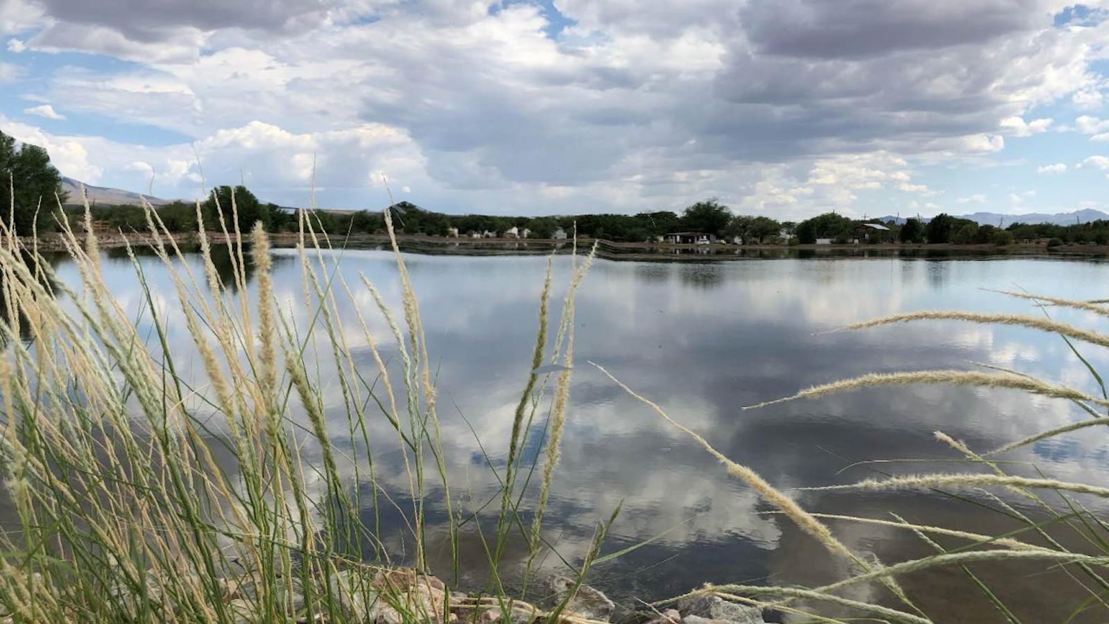 Grasses on the banks of a still body of water, blue sky and clouds.