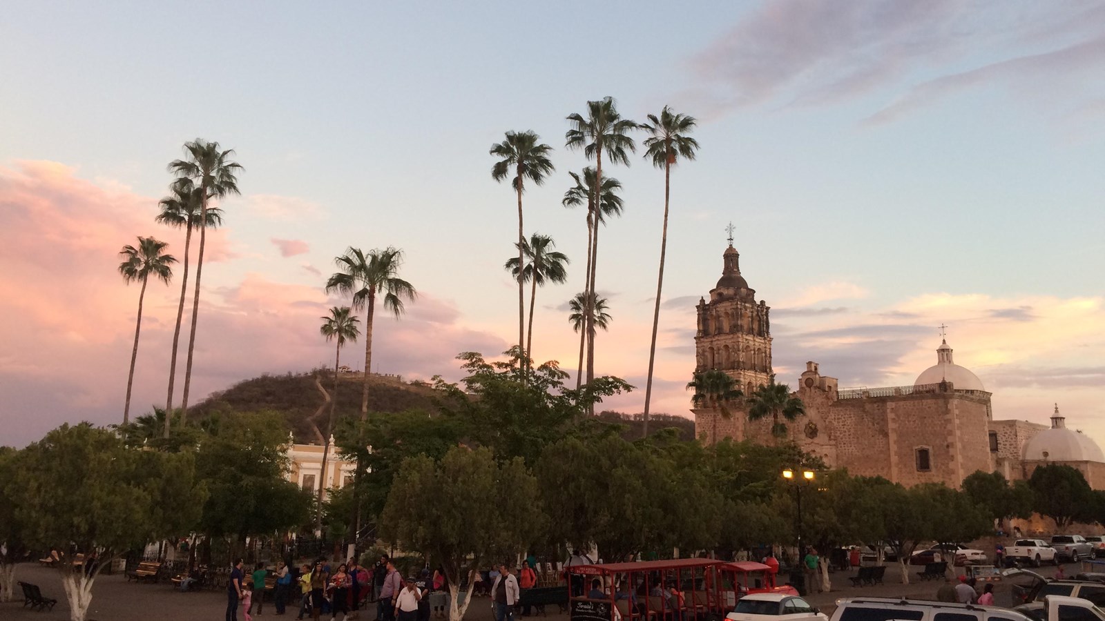 A view of colonial buildings with palm trees around a town square