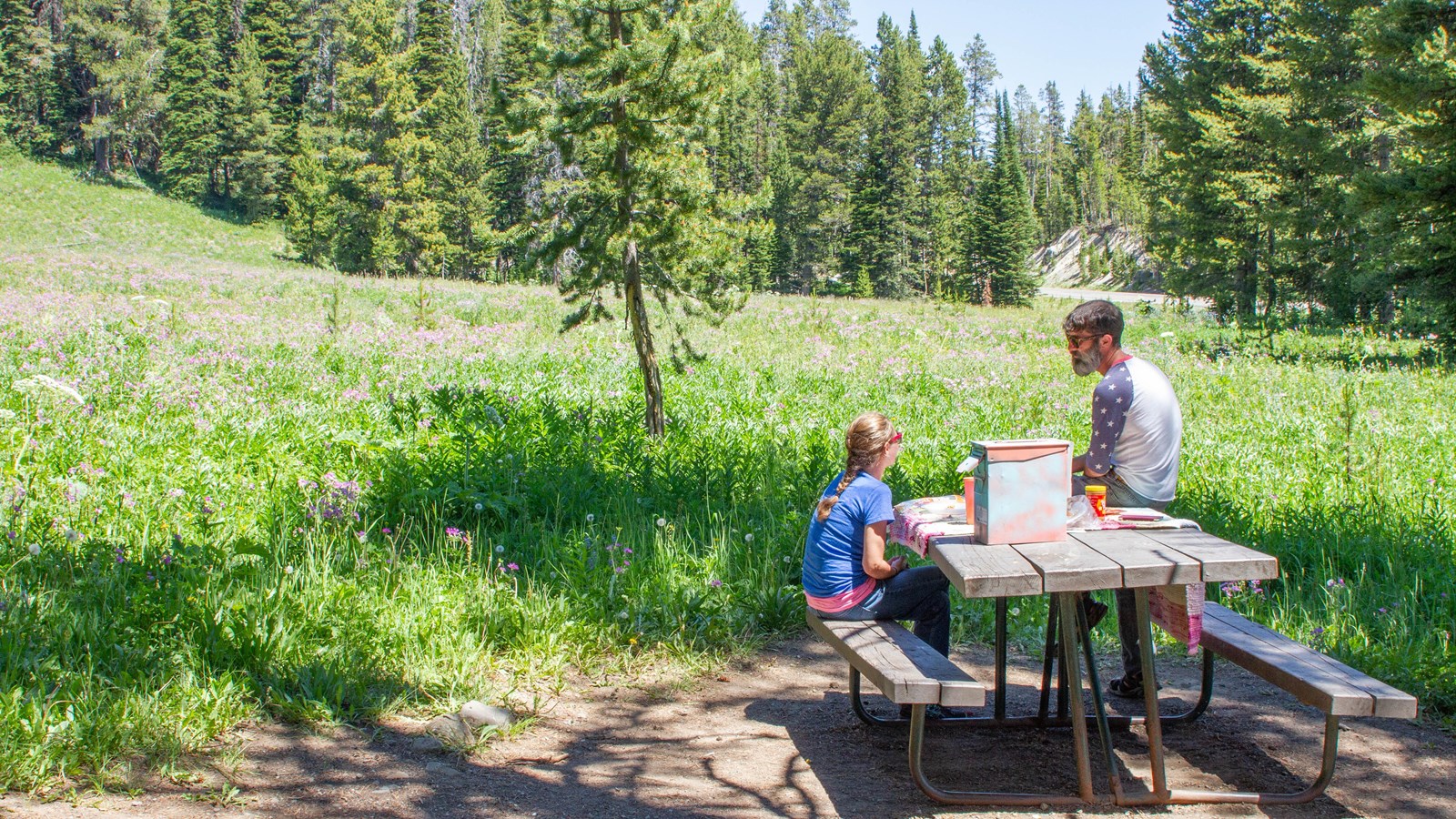 Two people picnicking at a table in front of a meadow.