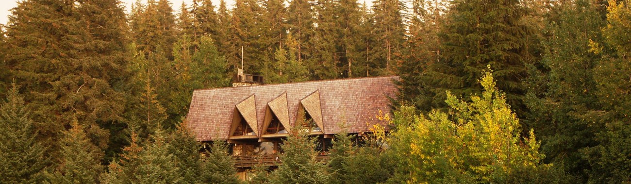 a large building in a forested area on a beach