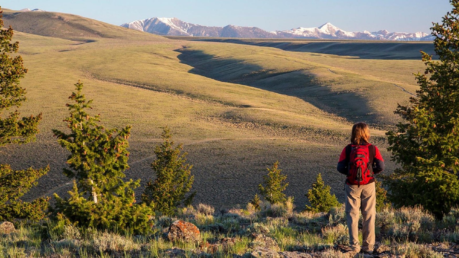 A woman looks out over rolling green plains with snow capped mountains in the distance