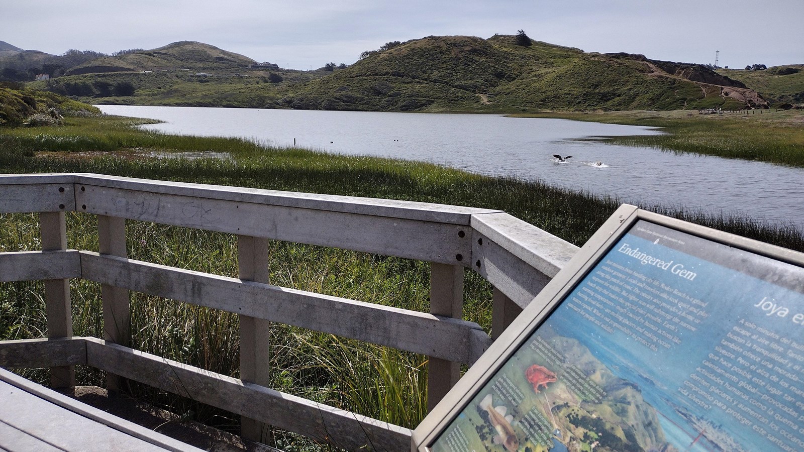 A view of Rodeo Lagoon