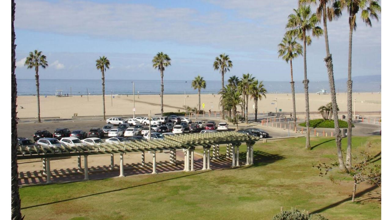 landscape off grass a parking lot, palm trees and the shoreline of a beach 