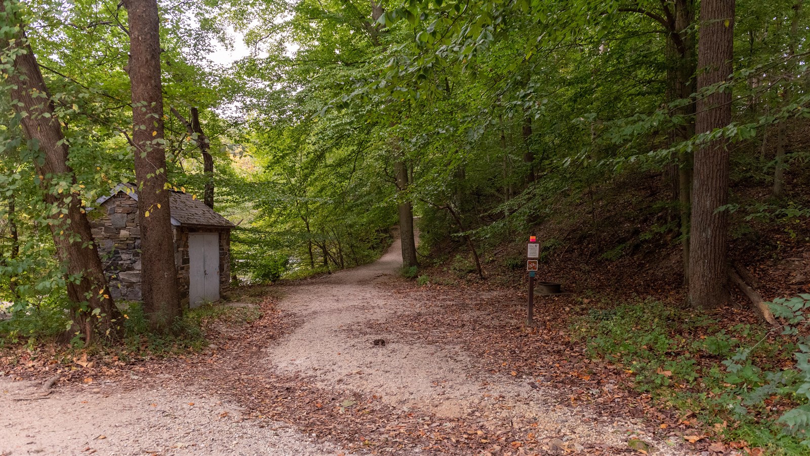A dirt path in a forest.