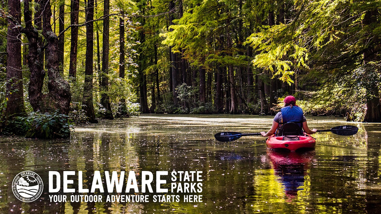 Person kayaking on a leafy waterway with sunlight filtering through dense green trees.