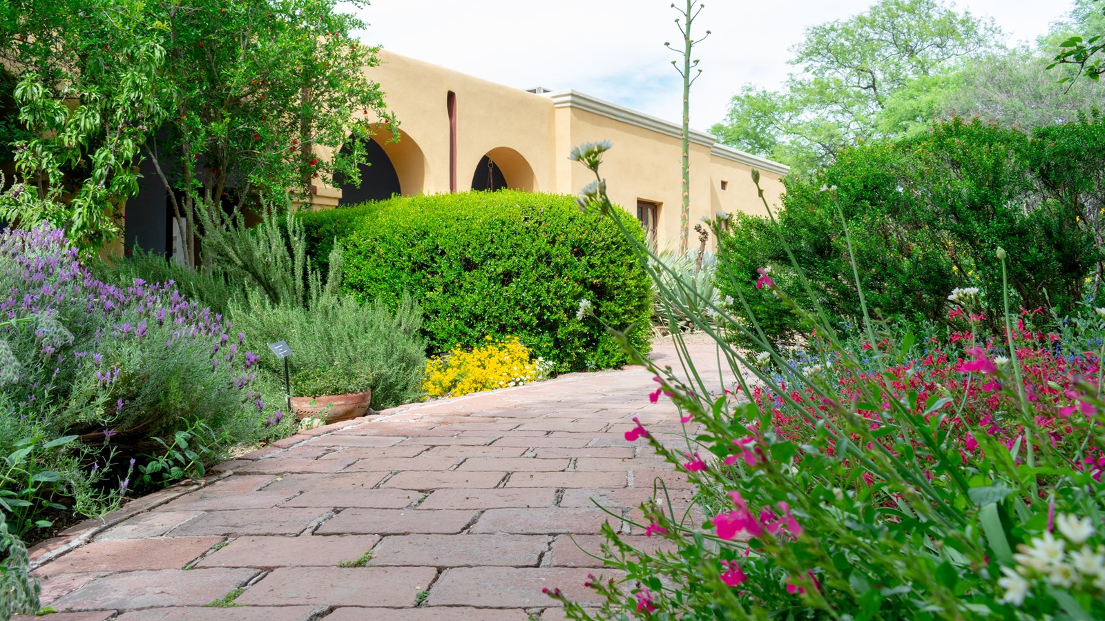 brick path through flowered garden with yellow arched arcade