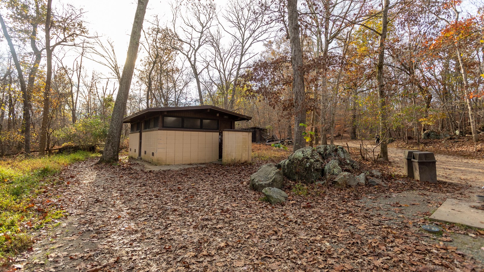 A restroom surrounded by woods