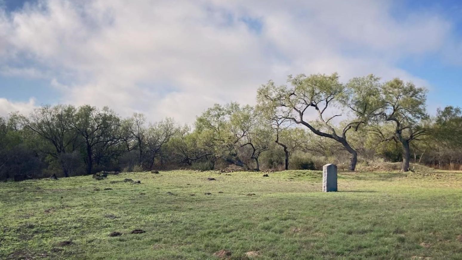 A singular gravestone in a grassy clearing with foliage in the background
