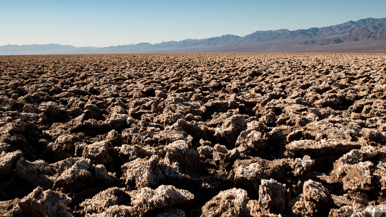 Sharp, eroded salt formations stretch into the background. 